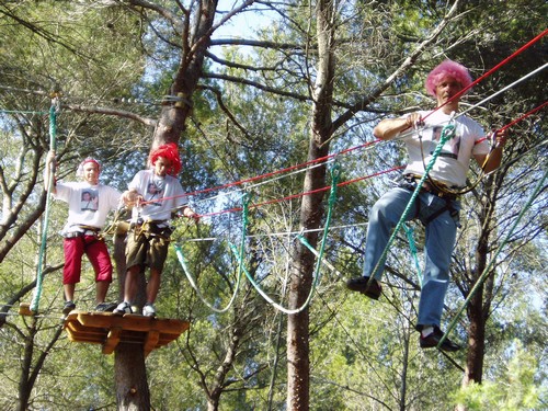 Aventure dans les arbres