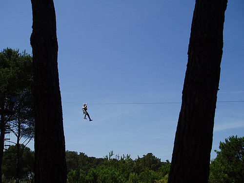 tyrolienne dans les arbres