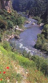 l'orb &agrave; Roquebrun