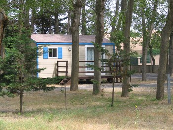 chalets en location situés dans le parc