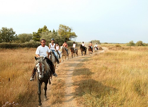 randonn&eacute;e cheval